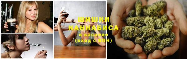 дмт Алексин