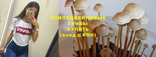 мефедрон мука Алексеевка