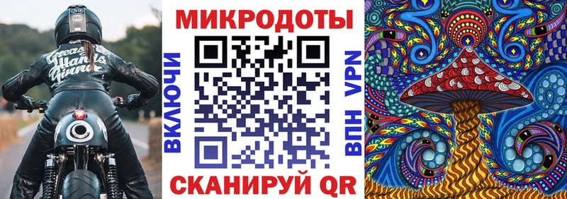 даркнет как зайти  Лагань  Галлюциногенные грибы Cubensis  продажа наркотиков 
